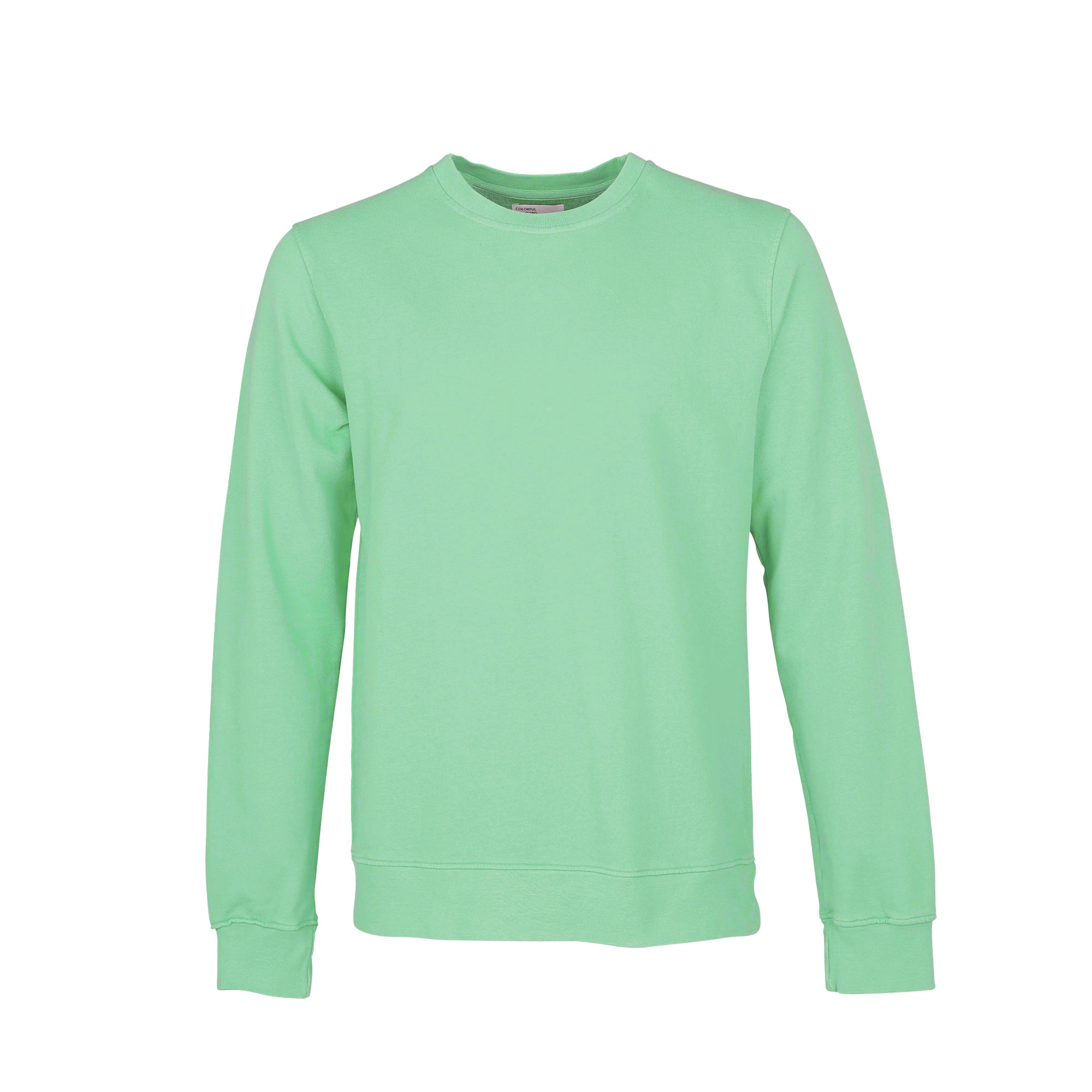 Classic Organic Crew Seafoam Green